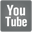 Watch ICPD Task Force videos on Youtube
